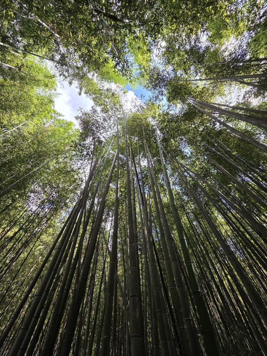 夏季休業日のお知らせ